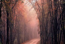 白俄罗斯击败乌克兰晋级男团体排球决赛